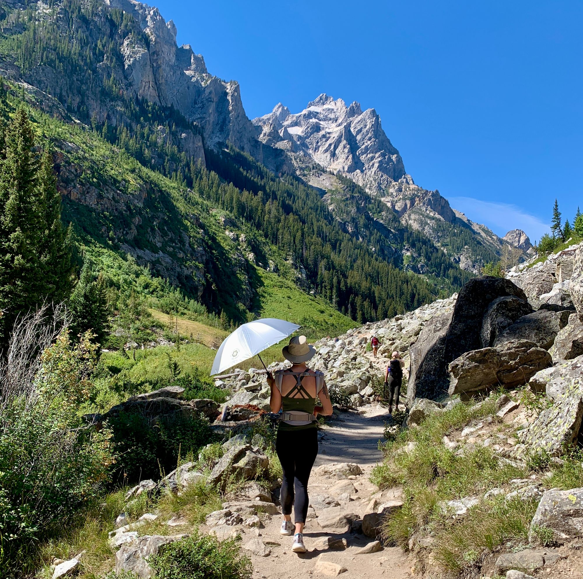 Mom baby-wearing while hiking a trail at the Grand Tetons National Park