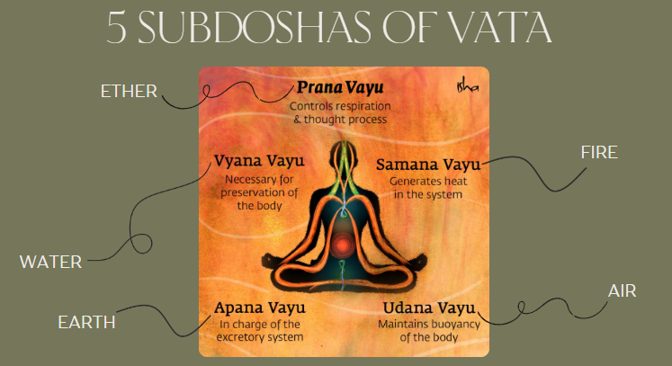 A Deep Dive Into the Prana Vayus
