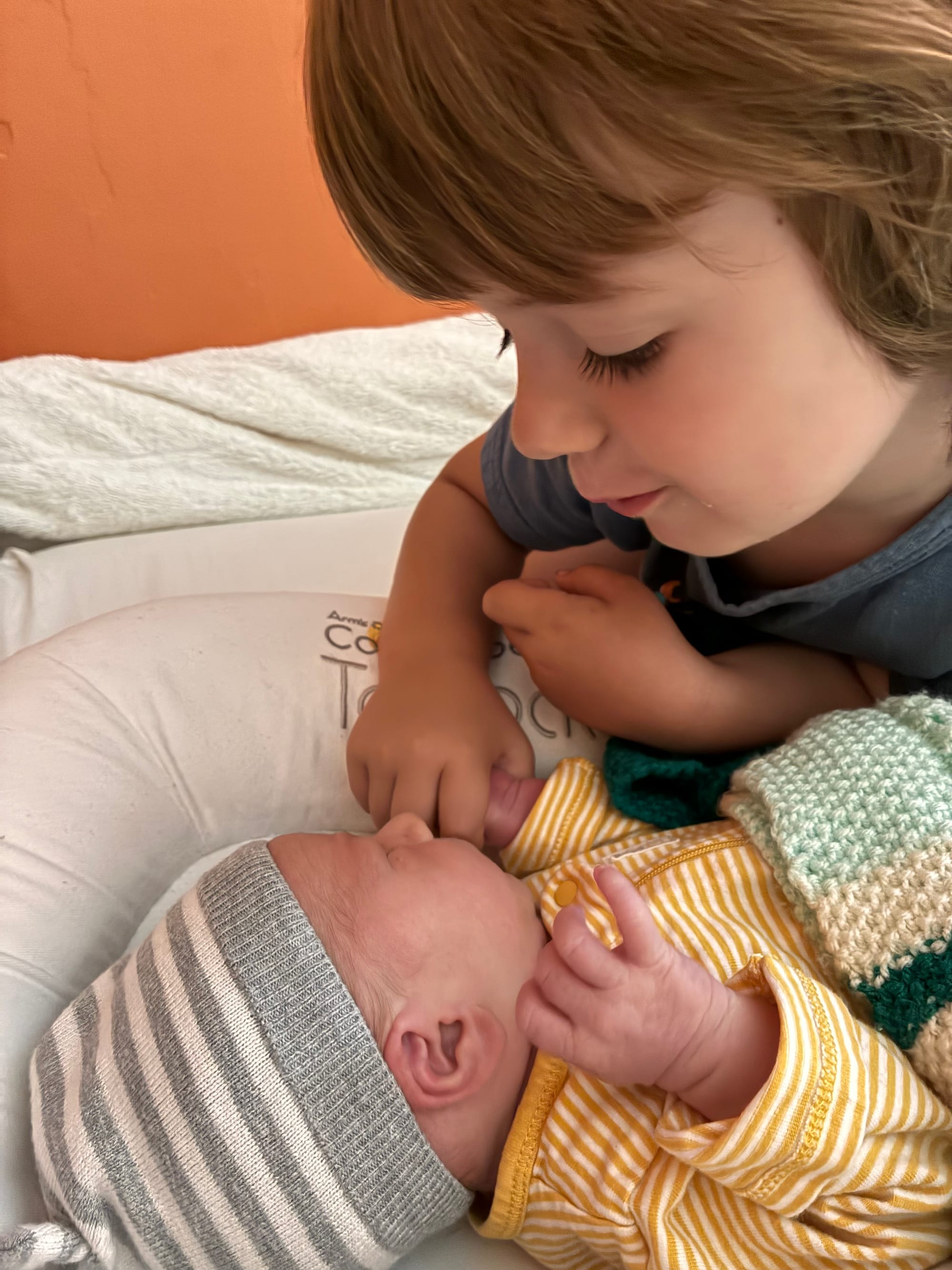 The Birth of Porter